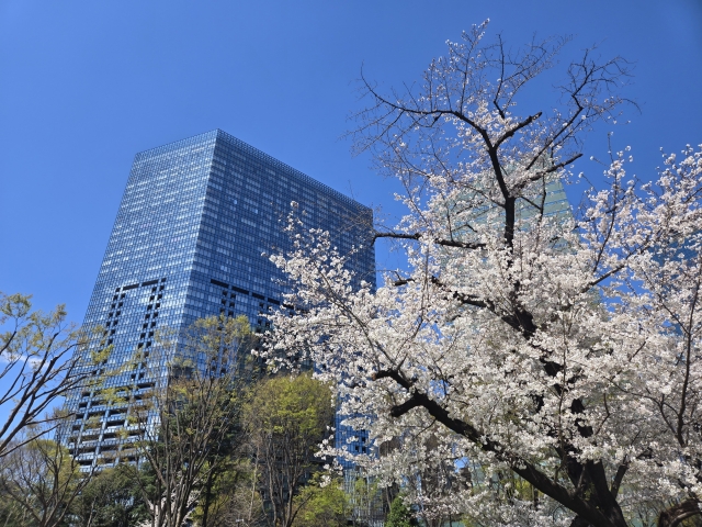 ツツイナグループ株式会社